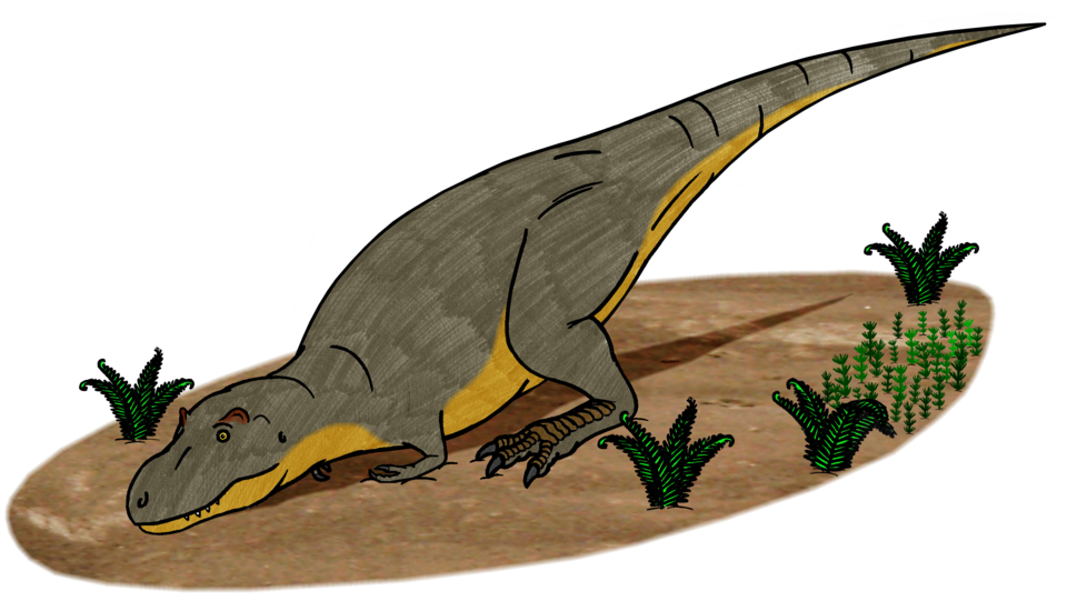 A Tyrannosaurus rex rise up after lying on the ground, bracing the forepart of its body on its elbows while raising its hind part and tail into the air. The illustration is based on a fossilized tracks described in 2021.[1] (notice the postorbital horns, based on research by Paul).[2]
The idea that