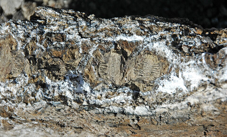 Earth's Oldest Impact Crater Is 470 Million Years Younger Than Scientists Thought