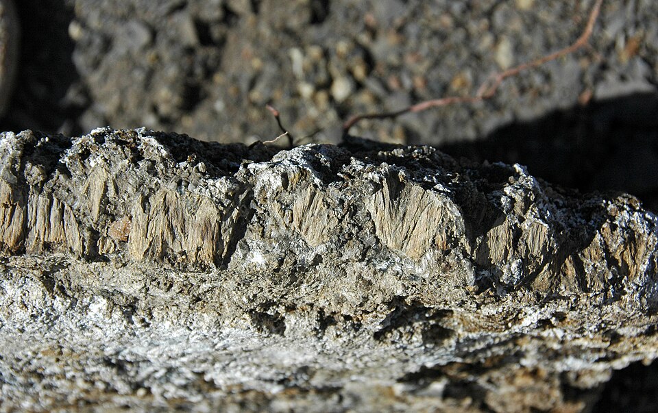 Concretionary cone-in-cone structures in the Cretaceous of Colorado, USA. (cross-section view)
Cone-in-cone structures are strange features found as interbeds in fine-grained siliciclastic rocks or in the outer layers of concretions.  They consist of sets of conical structures stacked up within each