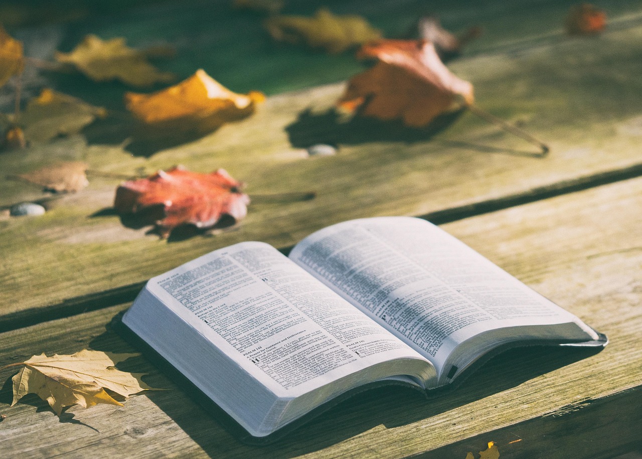 Texas Board Votes to Require Bible Passages in Public Schools
