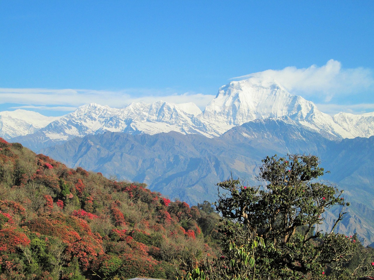 Coal Pollution Crosses the Himalayas and Reaches the Tibetan Plateau