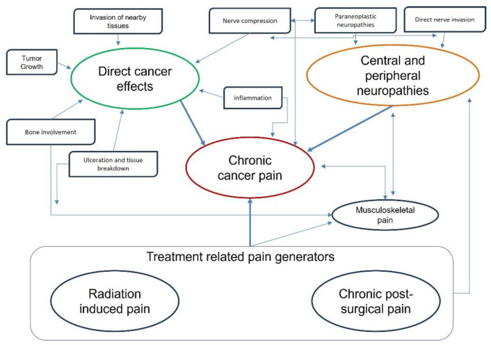 Cancer-Related Muscle Pain Research Has Grown Sharply Since 2015