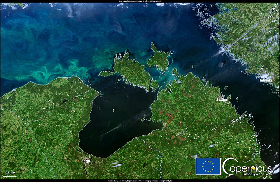 This image, acquired by one of the Copernicus Sentinel-3 satellites on 21 June 2021, shows parts of Finland, Estonia, Latvia and Lithuania. On the day this image was acquired northern European countries experienced a record heatwave. Numerous temperature records were broken, including 33.7°C in Pāvi