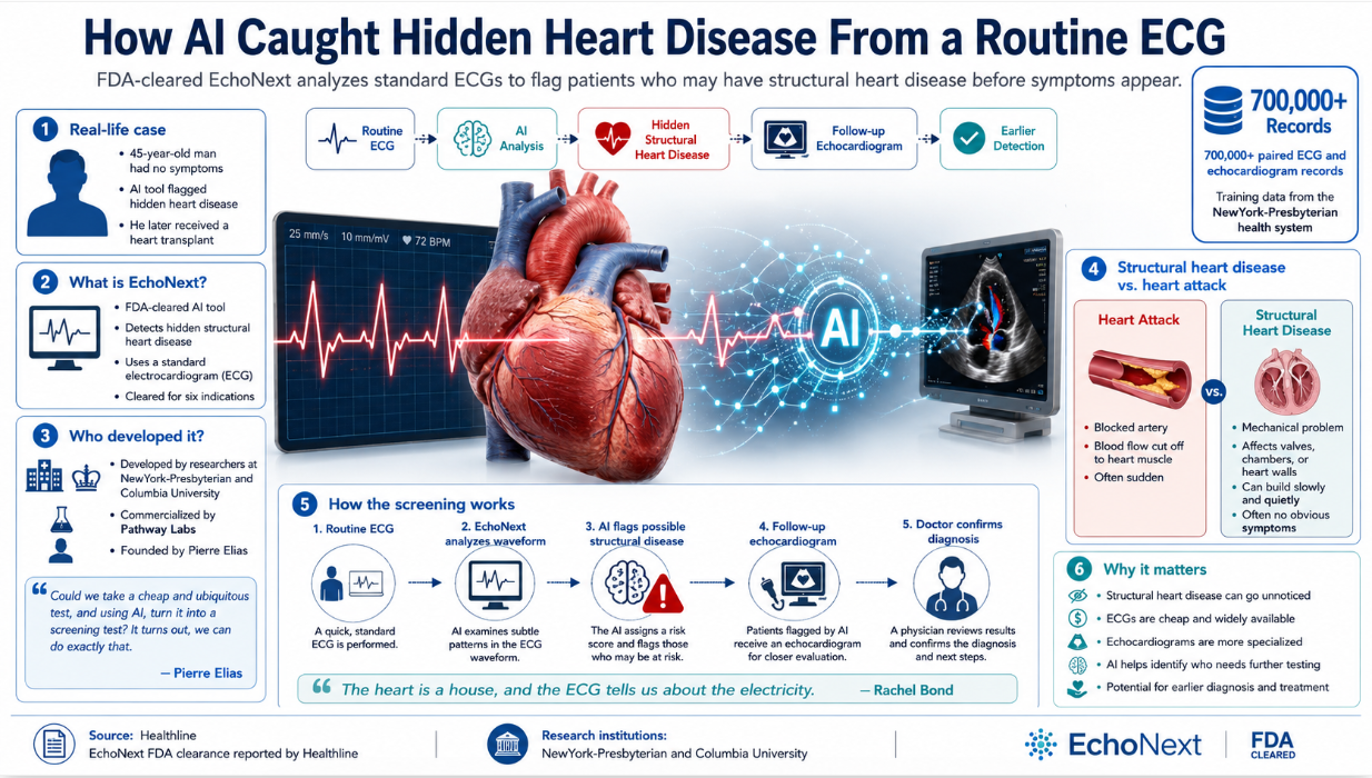 Infographic showing an AI-powered ECG screening tool called EchoNext analyzing heart waveforms to flag hidden structural heart disease and guide patients toward follow-up echocardiograms.