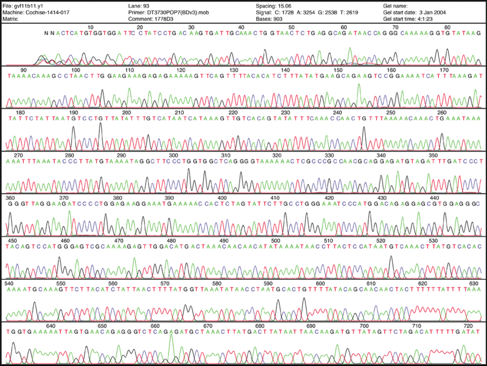 DNA sequencing, interferogram