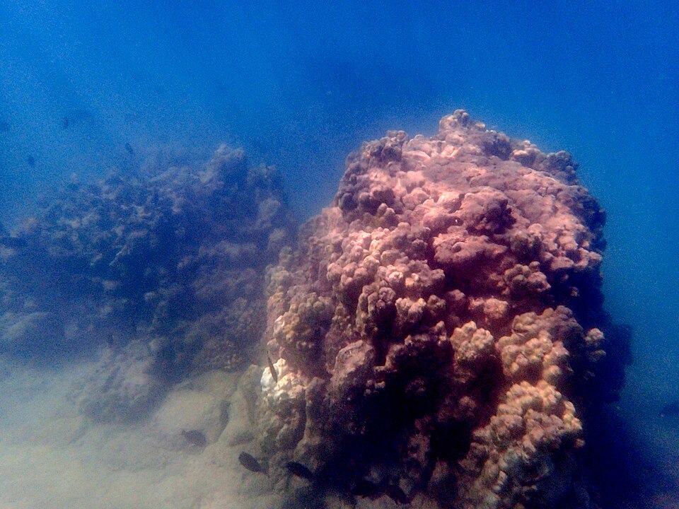 Big Island, Hawaii