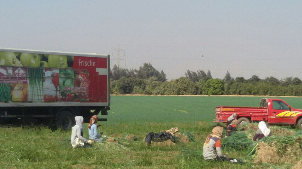 This is an image of "African people at work" from