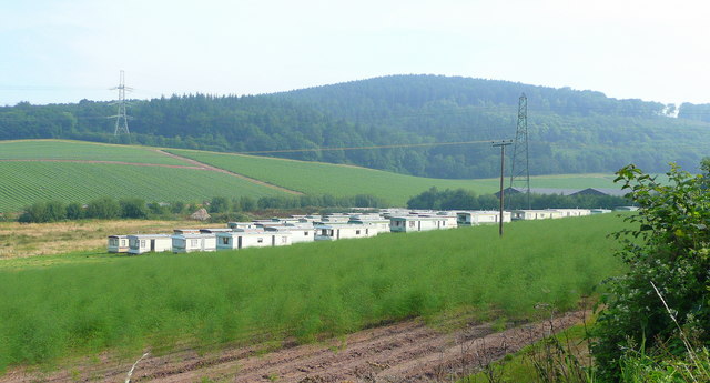 Farm workers' caravans, Coleraine Farm Intensive fruit and vegetable production requires a large amount of seasonal labour; this is where they are accommodated. In the foreground, the crop is asparagus.