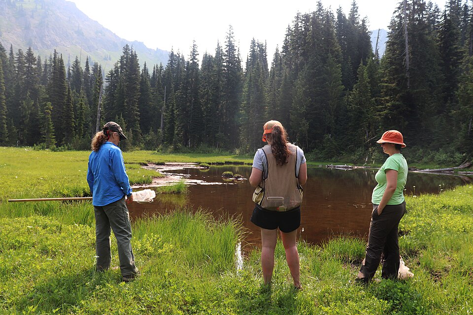 The Citizen Science Coordinator and volunteers prepare for the survey.
NPS Photo by Ivie Metzen.