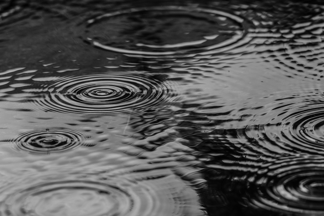 puddle