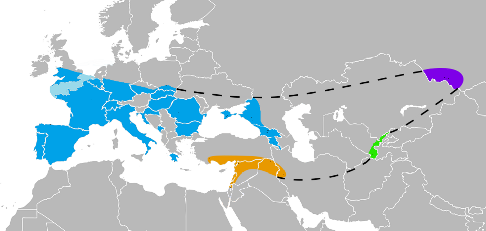 Known Neanderthal range in Europe (blue), Southwest Asia (orange), Uzbekistan (green), and the Altai mountains (violet), as inferred by their skeletal remains (not stone tools). For sources, please see User:Nicolas_Perrault_III/List_of_Neanderthals 
In the English Channel, Crimea, the Caucasus, Sout