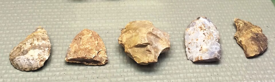 Neanderthals and Modern Humans Shared Hunting and Symbolic Traditions in Turkish Cave