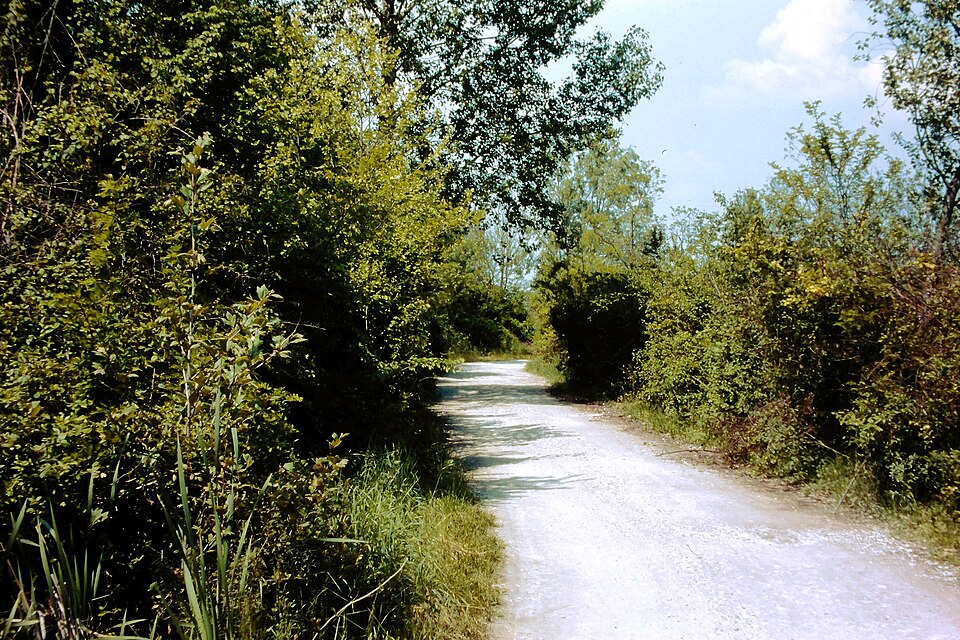 Mogliano Veneto, Cave di Marocco, via Madonna Nicopeja, maggio 1985.