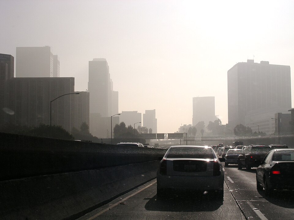 Political Focus on Immigration Linked to Rising Industrial Toxic Emissions in U.S. States
