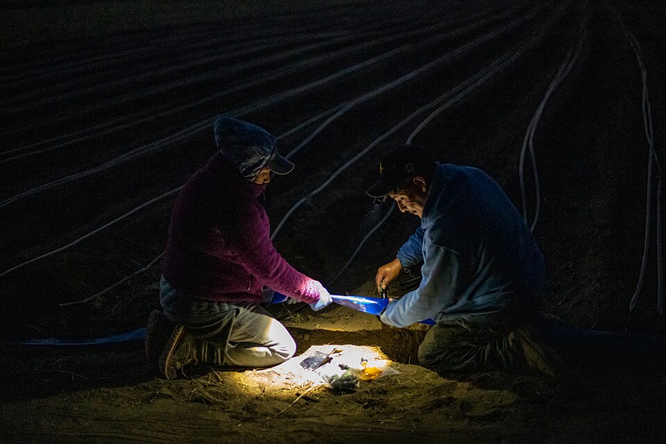 The sun may have gone down, but that does not stop new and beginning farmers from getting a micro irrigation installation done, as they gain education, experience and support from the Agricultural Land Based Training Association (ALBA), whose graduates of their Farmer Education Course (PEPA) can the
