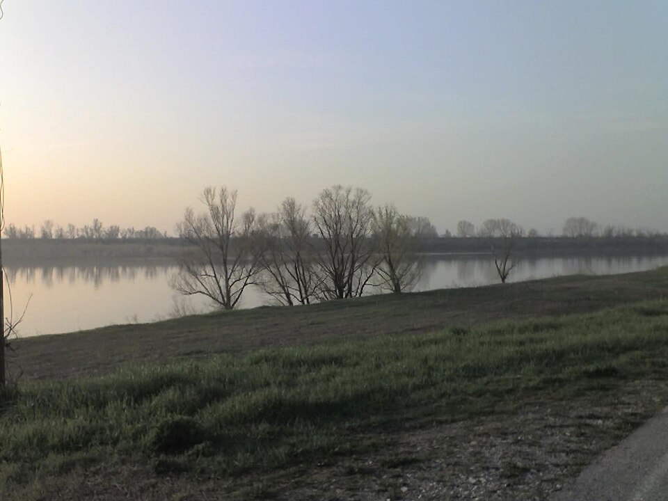 Italy's River Po Choked by Algae Blooms Fed by Farm Runoff and Record Heat