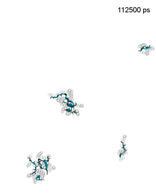 Molecular dynamics simulation of spontaneous VQIVYK peptide aggregation.