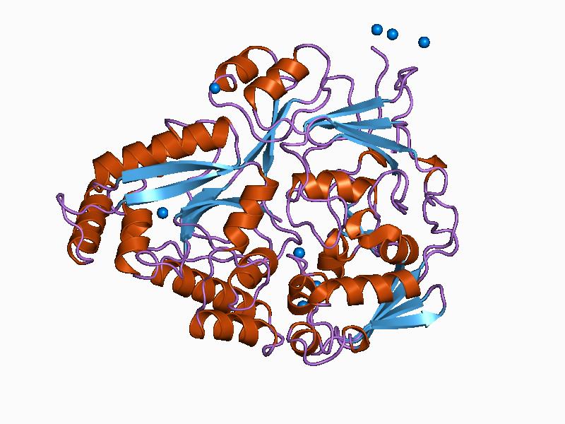 Single Peptide Switches Cancer Protein Targets Based on Surrounding Ions