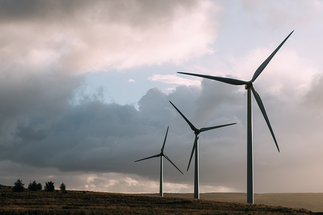 Estonia Tops Global Environmental Rankings as Few Nations Near Net-Zero