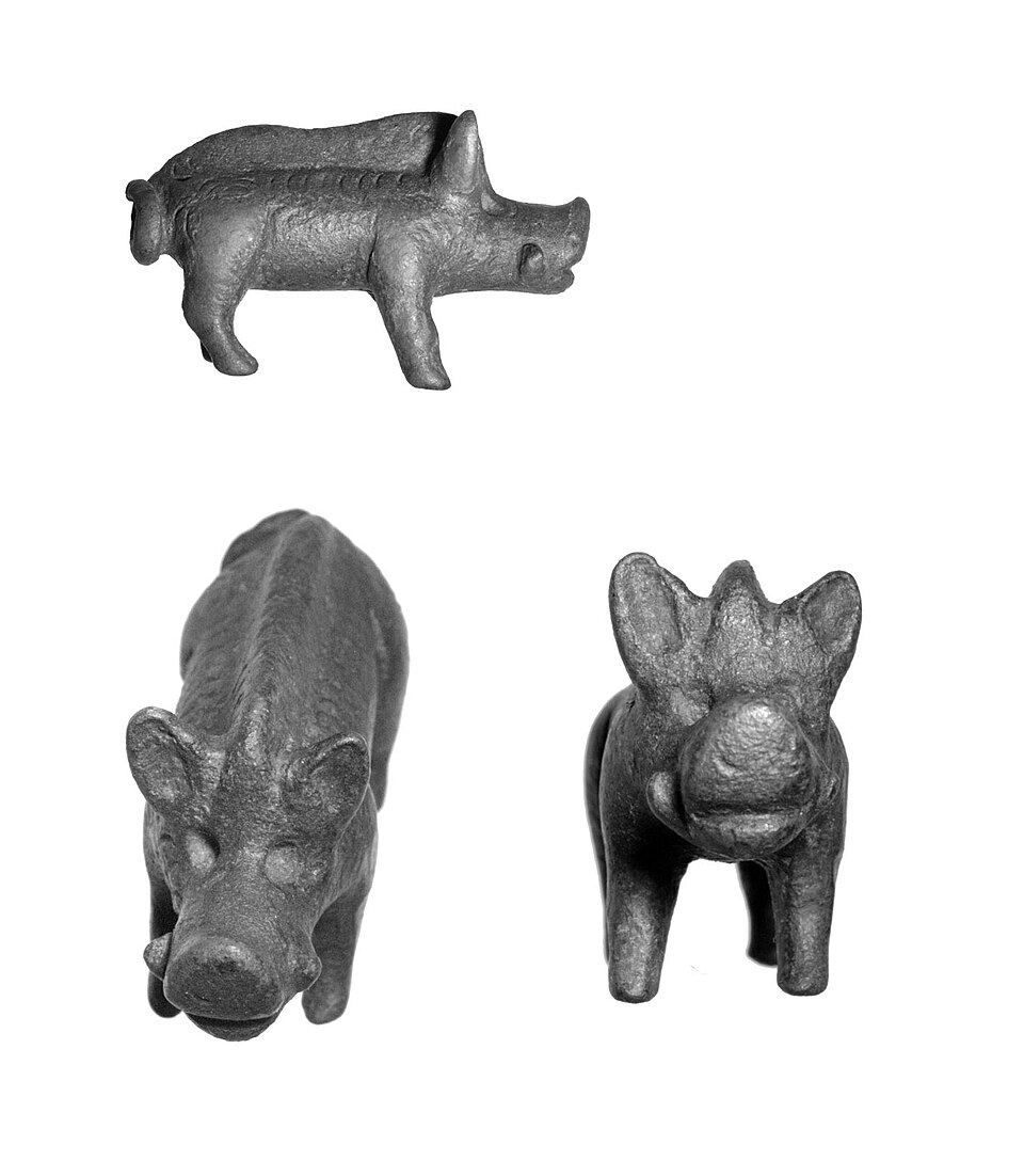 Medieval Wild Boar Tusk Found in Russia Identified as Warrior Amulet