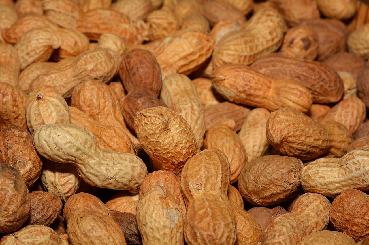 Gut Bacteria Research Points Toward New Approach to Preventing Peanut Allergies