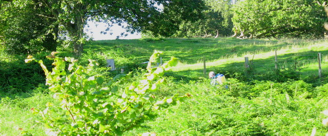 Attempting to control the bracken menace at Cae Gwyn by spraying Asulox herbicide