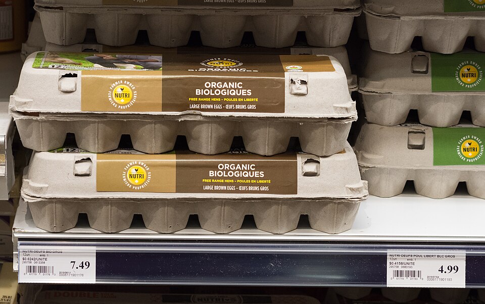 Salmonella Outbreak Linked to Recalled Eggs Sickens 98 People Across 17 States