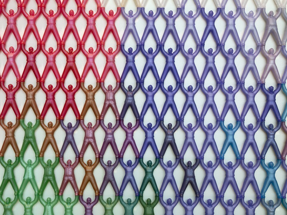 Title: Artwork by Do-Ho Suh at the Food and Drug Administration building, Silver Spring, Maryland
Physical description: 1 photograph : digital, tiff file, color.

Notes: Credit line: Photographs in the Carol M. Highsmith Archive, Library of Congress, Prints and Photographs Division.; Forms part of: