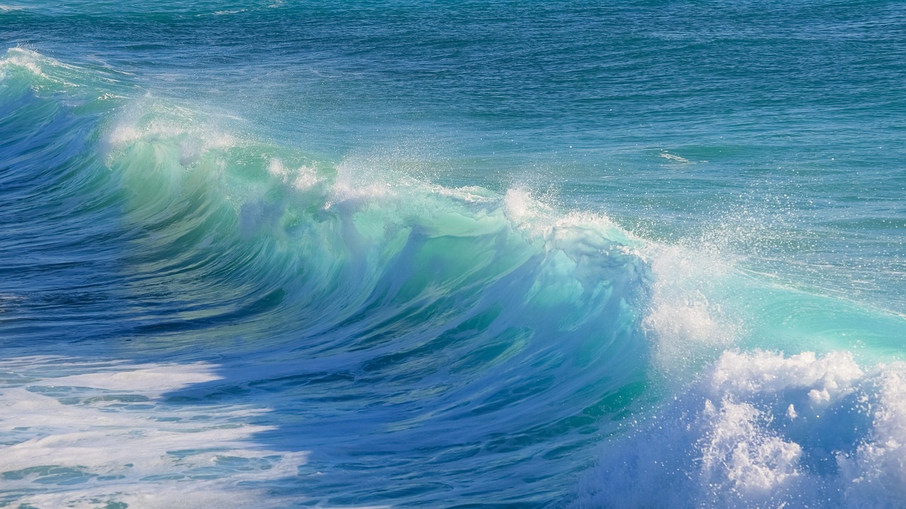surf