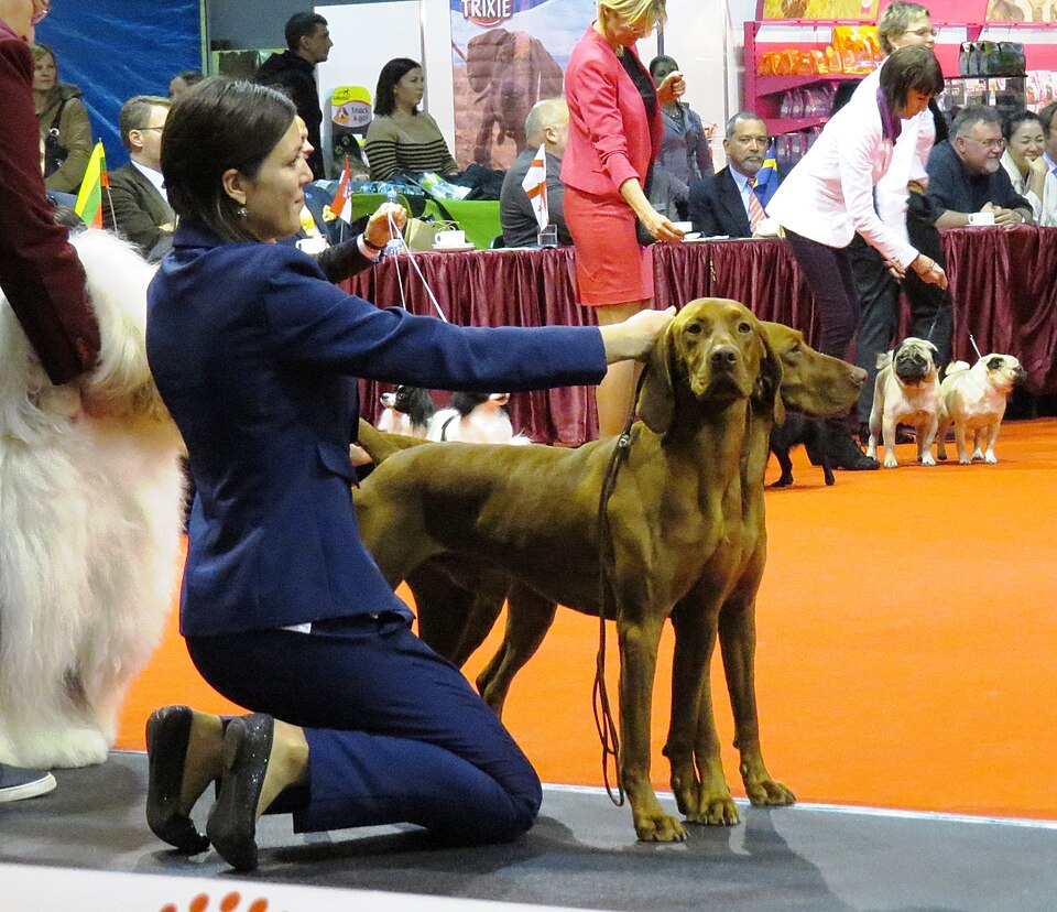 Riga, Baltic Winner -2013, 9-10 Nov