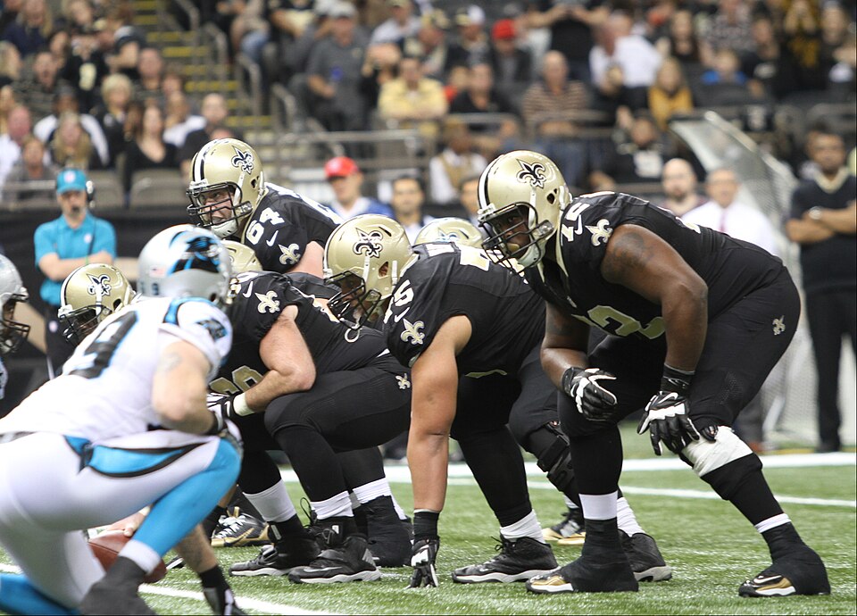 New Orleans Saints vs Carolina Panthers, December 6, 2015,  Tammy Anthony Baker,  Photographer