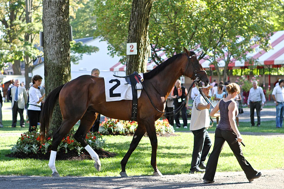Renegade and Commandment Set for Jim Dandy Showdown at Saratoga