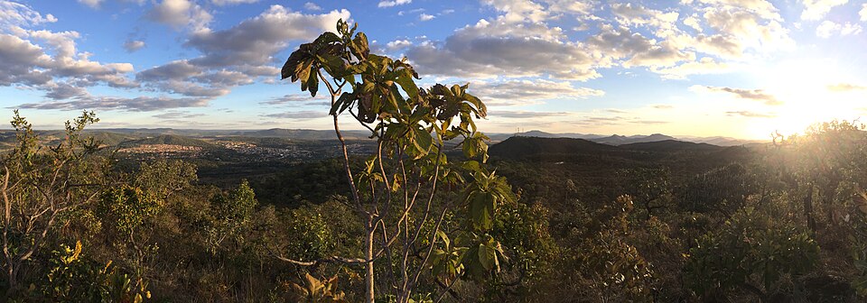 Indigenous Territory in Brazil Holds Steady as Surrounding Savanna Is Converted