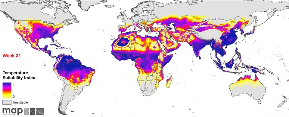 Malaria Parasite Uses Molecular Tether to Build Daughter Cells
