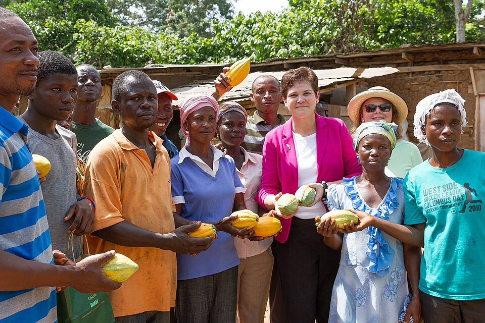 Ghana Passes Law That Could Imprison Cocoa Farmers for 20 Years