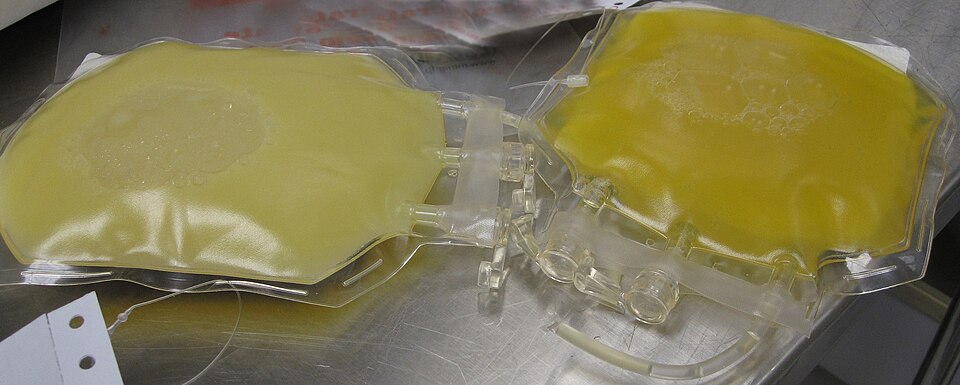 Red Cross Declares National Blood Supply Crisis After Donations Hit Four-Year Low