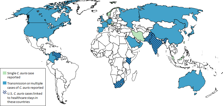Drug-Resistant Fungus Candida Auris Spreads Across 23 States in Healthcare Facilities