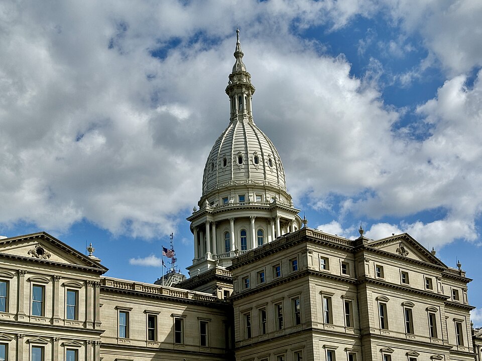 Michigan Democrats Vote in Senate Primary as Stevens and El-Sayed Face Off
