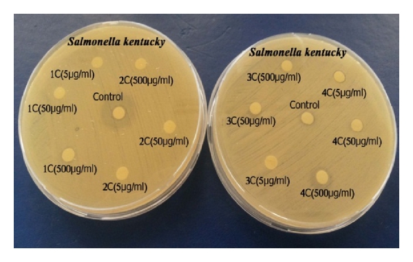 Effect of SB1 and Zr(IV), La(III), and Ce(IV) chelates on Salmonella kentucky .