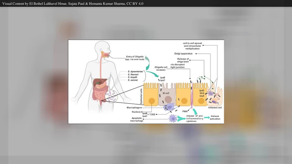 New Shigella Vaccine Shows 89 Percent Effectiveness in Early Trial
