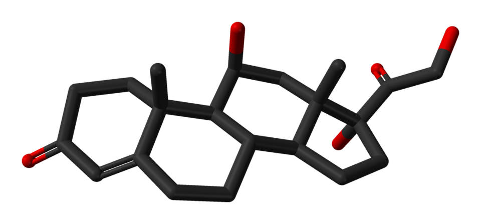 Stick model of the cortisol (hydrocortisone) molecule.

Structure from the Spartan database in Spartan '04 Student Edition. Image generated in Accelrys DS Visualizer.
