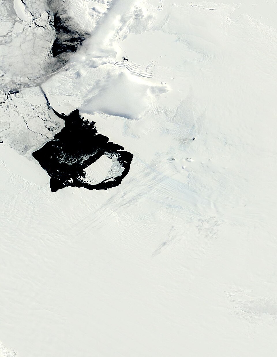 Within a week of breaking away from the Pine Island Glacier, the newly calved Iceberg B-31 was putting some distance between itself and the calving front where it was born. The Moderate Resolution Imaging Spectroradiometer (MODIS) aboard NASA’s Terra satellite captured this true-color image on Novem