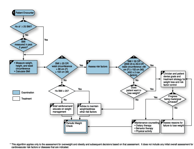 Croatian Medical Experts Publish New National Framework for Treating Obesity as Chronic Disease