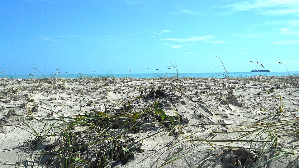 Florida Homes Built After 2001 Code Withstand Hurricane Wind Damage Better