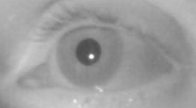 University of Rochester System Uses Light to See Through Fog and Deep Tissue