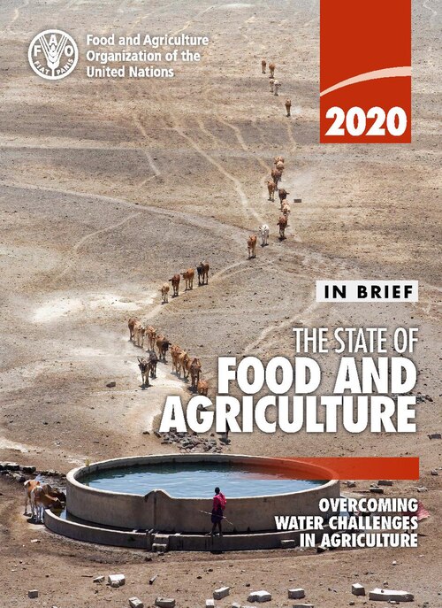 The In Brief version of the FAO flagship publication, In Brief to The State of Food and Agriculture 2020, contains the key messages and main points from the publication and is aimed at the media, policy makers and a more general public.