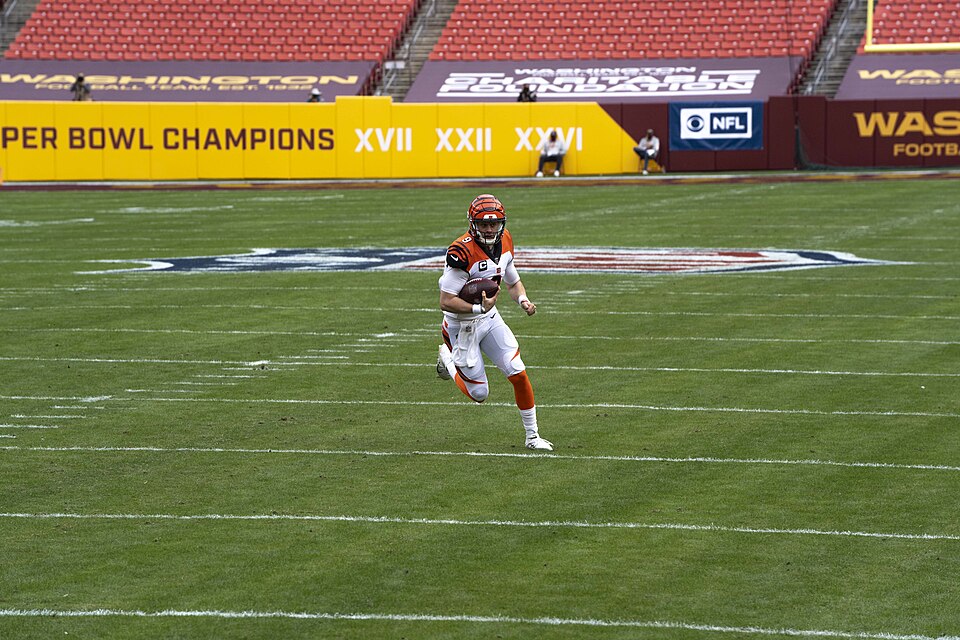 Washington Football Team Game 
Description:  www.allproreels@gmail.com -- from the Cincinatti Bengals vs. Washington Football Team at Fedex Field, in Landover, Maryland, November 22, 2020 (All-Pro Reels Photography)