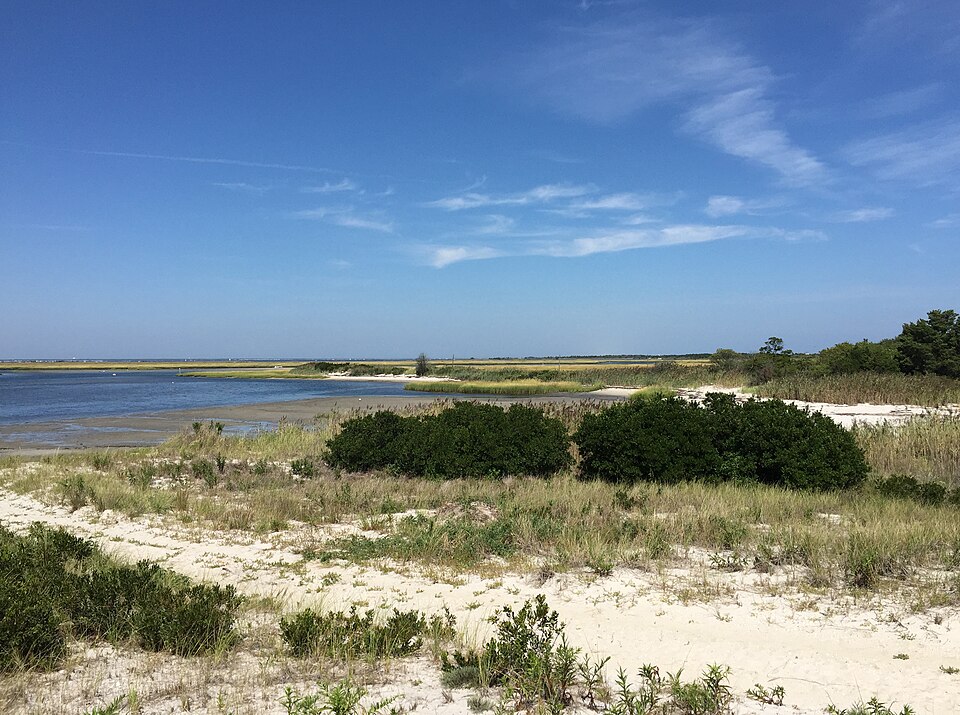 Wetlands along Barnegat Bay just north of Barnegat Inlet within the Southern Natural Area within Island Beach State Park, in Berkeley Township, Ocean County, New Jersey