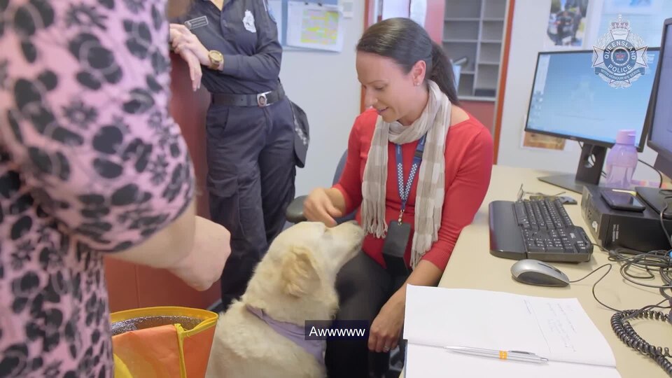 California First Responders Use Peer-Support Dogs to Manage Trauma