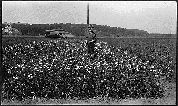 Minnesota Launches Workshops to Address Mental Health Crisis Among Farmers